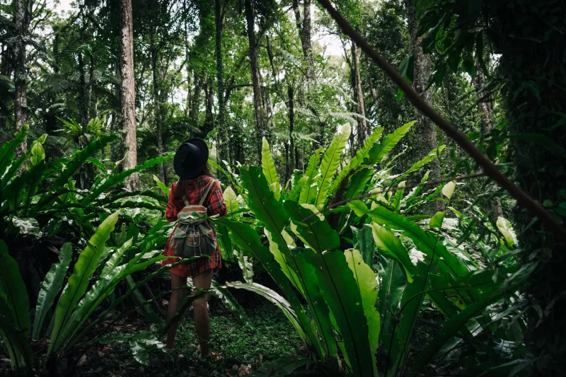 The Art of Arriving Empty: How Luxury Travelers Are Learning to Leave Orchid Destinations With Nothing but Memory