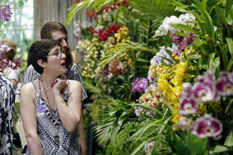 Beyond the Beaten Path: The World's Most Exclusive Orchid Festivals to Book in 2025