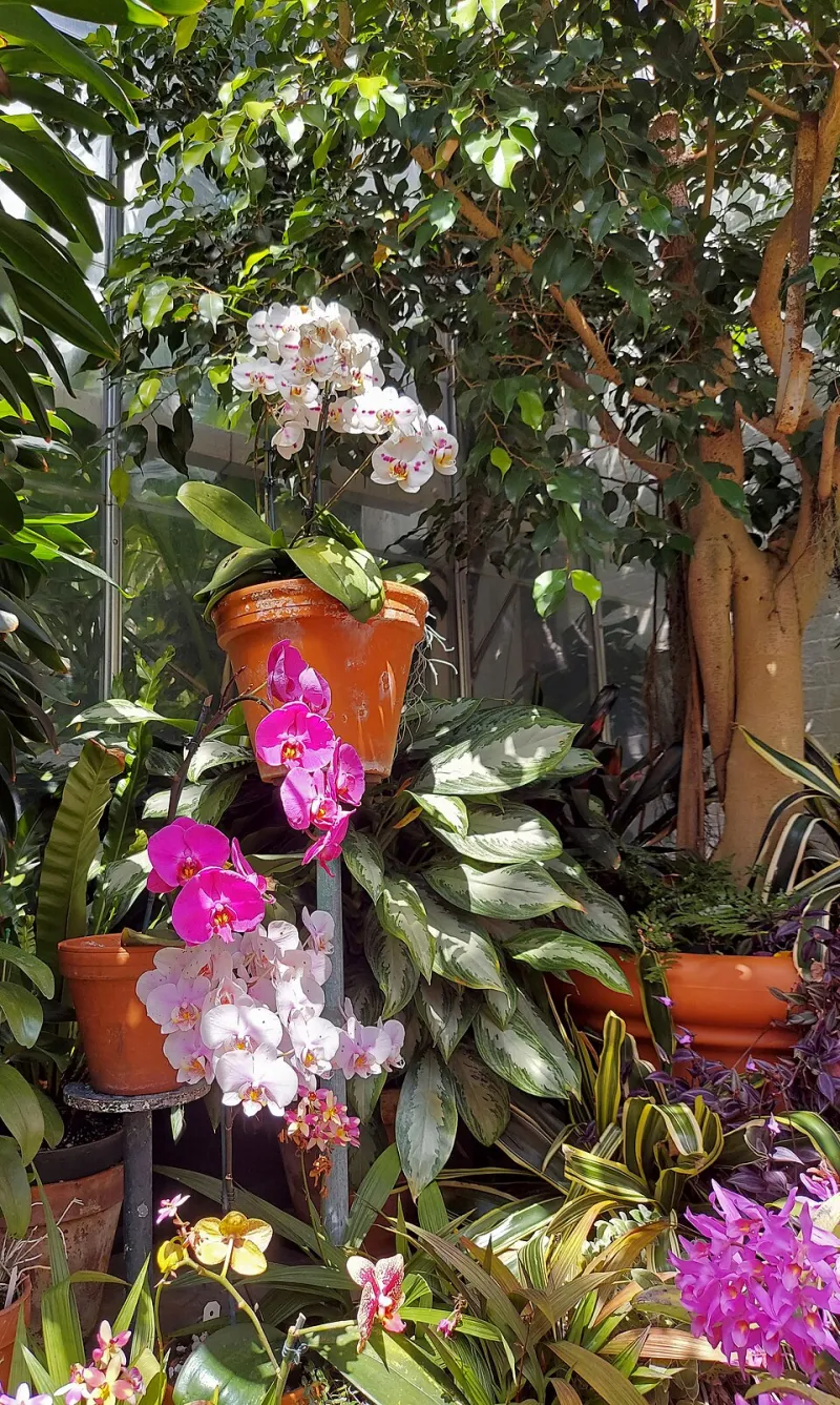The Inheritance Question: When Heirs Trade Resort Keys for Greenhouse Doors