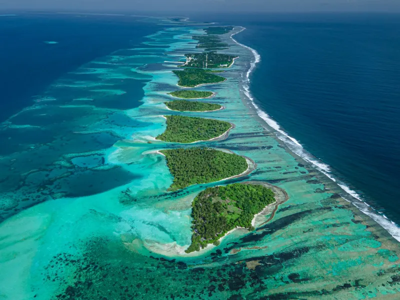Same Ocean, Different World: How Tropical Microclimates Shape the Orchids You Encounter Across Island Destinations